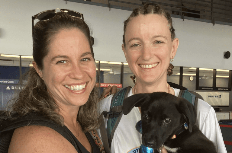 Giving Homeless Animals a Second Chance: Pets With Wings Hosts Life-Saving Brunch at Hotel 1829